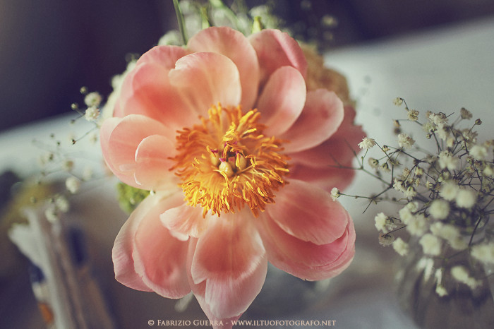 peonie-tracieloeterra-floraldesign